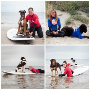 hondensurfen hondensurfles bij surfschool surfkaravaan