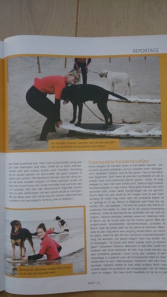 hondensurfles in Ouddorp bij surfschool SurfKaravaan