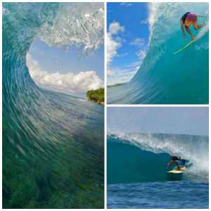 surf mentawai surfkaravaan